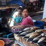 Poissons